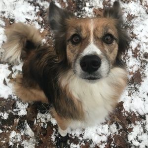 Meet your Posher, Gloria